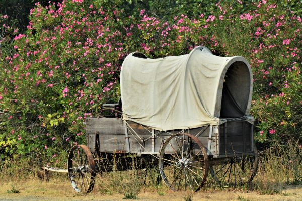 The Ever Elusive Elwin&nbsp;Gowers